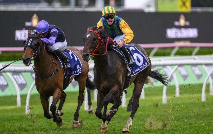 步赛事在全 步赛事在全