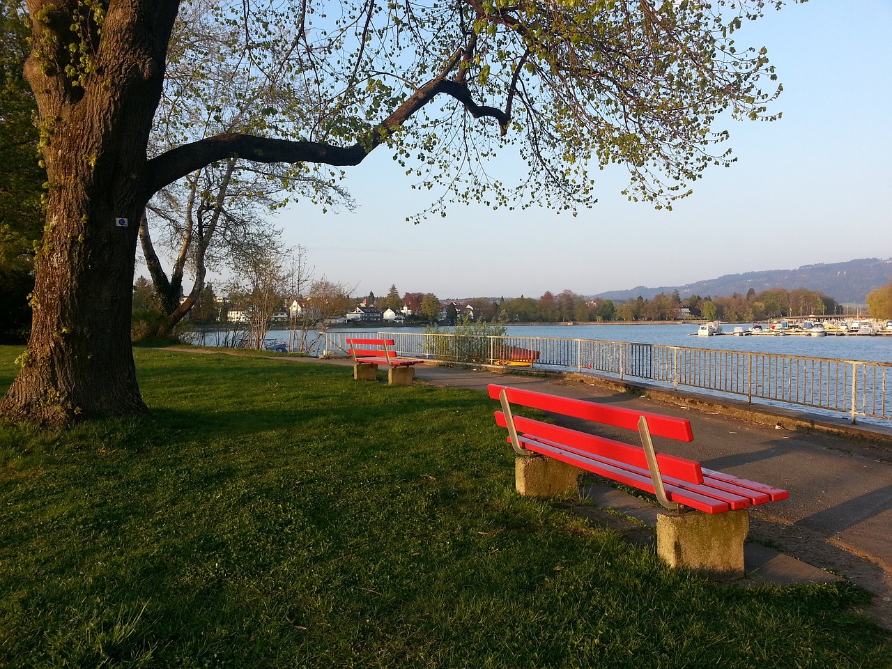 周潤發出戰機場三跑十公里　別注版跑鞋登場　1小時17分10秒完賽.