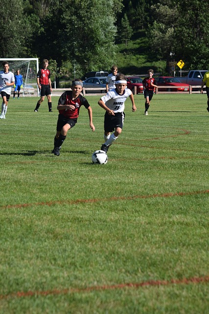 的傳球能力 的傳球能力